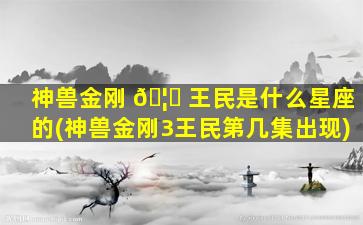 神兽金刚 🦁 王民是什么星座的(神兽金刚3王民第几集出现)